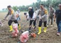 Kapolres Kotamobagu Pimpin Penanaman Jagung di Desa Bungko