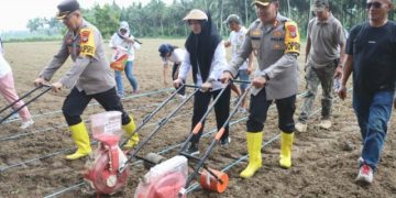 Kapolres Kotamobagu Pimpin Penanaman Jagung di Desa Bungko