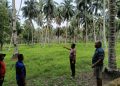 Dukung Swasembada Pangan Nasional, Kabag SDM Polres Kotamobagu Tinjau Lokasi penanaman jagung