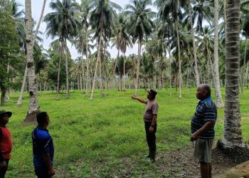 Dukung Swasembada Pangan Nasional, Kabag SDM Polres Kotamobagu Tinjau Lokasi penanaman jagung