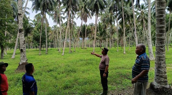 Dukung Swasembada Pangan Nasional, Kabag SDM Polres Kotamobagu Tinjau Lokasi penanaman jagung